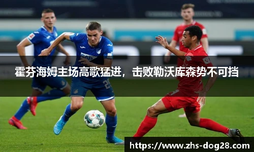 霍芬海姆主场高歌猛进，击败勒沃库森势不可挡