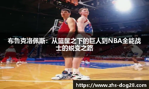 布鲁克洛佩斯：从篮筐之下的巨人到NBA全能战士的蜕变之路